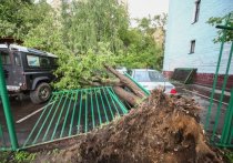 Деревья как спички, гаражи - картонки и снесенная крыша Кремля: очевидцы запечатлели на видео последствия смертельной стихии