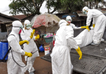 Жертвы Эбола: мертвые и беззаботные