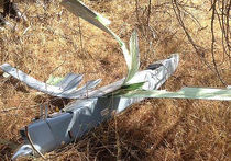 Появились снимки сбитого в Турции самолета: его вел немой лилипут
