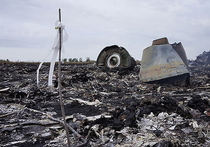 Прокуратура Нидерландов заявила, что осенью обнародует отчет с информацией об оружии, из которого был сбит малайзийский "Боинг" рейса MH17 над Донбассом